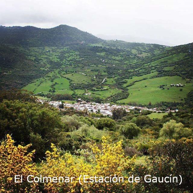 Eco Moyano Posada Gaucín Екстериор снимка
